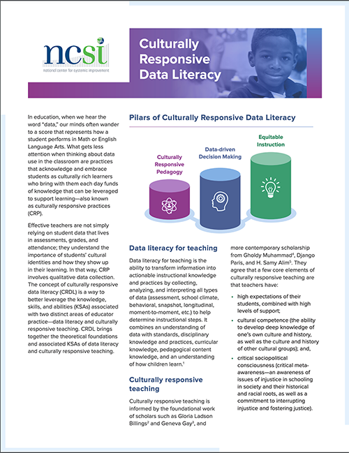 Culturally Responsive Data Literacy