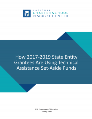 How 2017-2019 State Entity Grantees Are Using Technical Assistance Set-Aside Funds